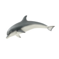 Schleich 海豚公仔