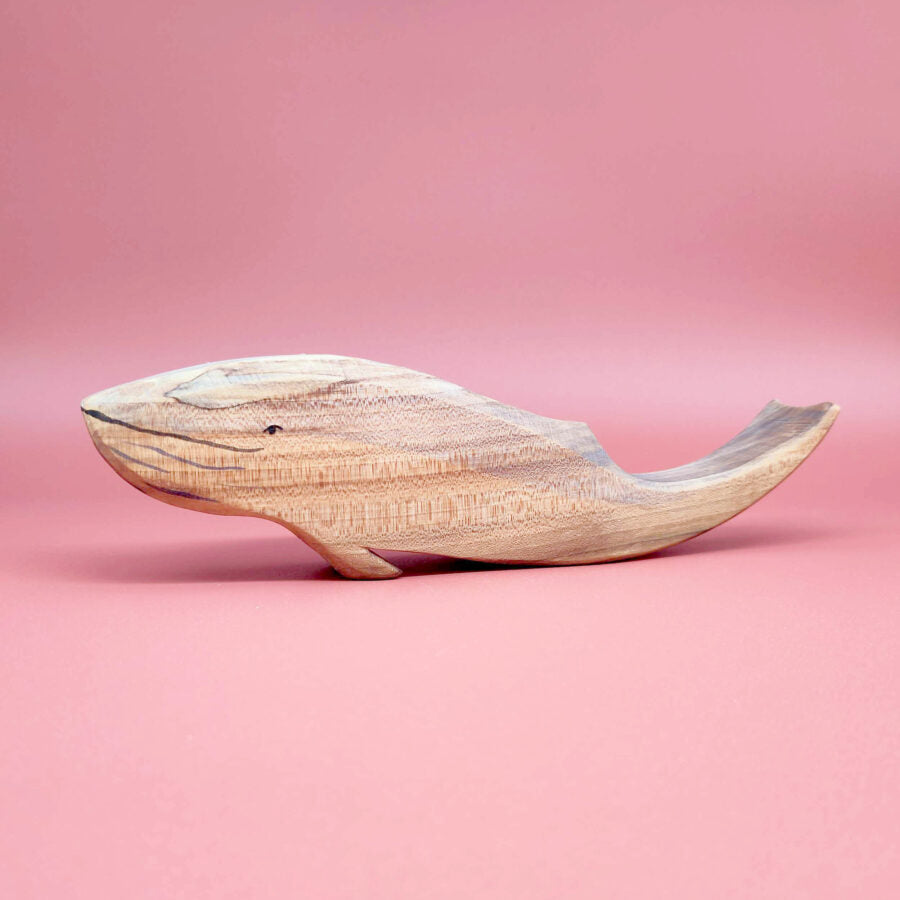 Sägefisch 藍鯨