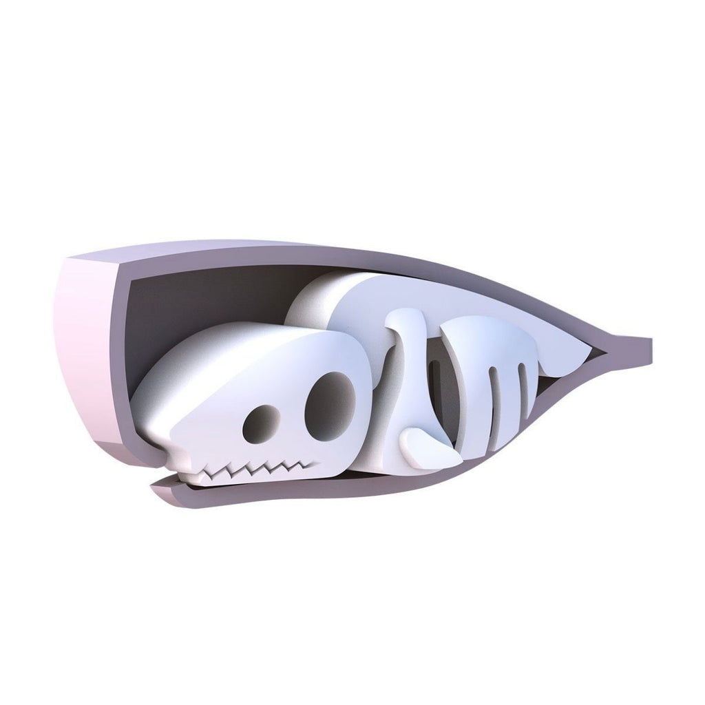 3D動物骨骼磁石砌圖