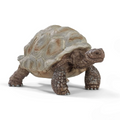 Schleich 陸龜公仔